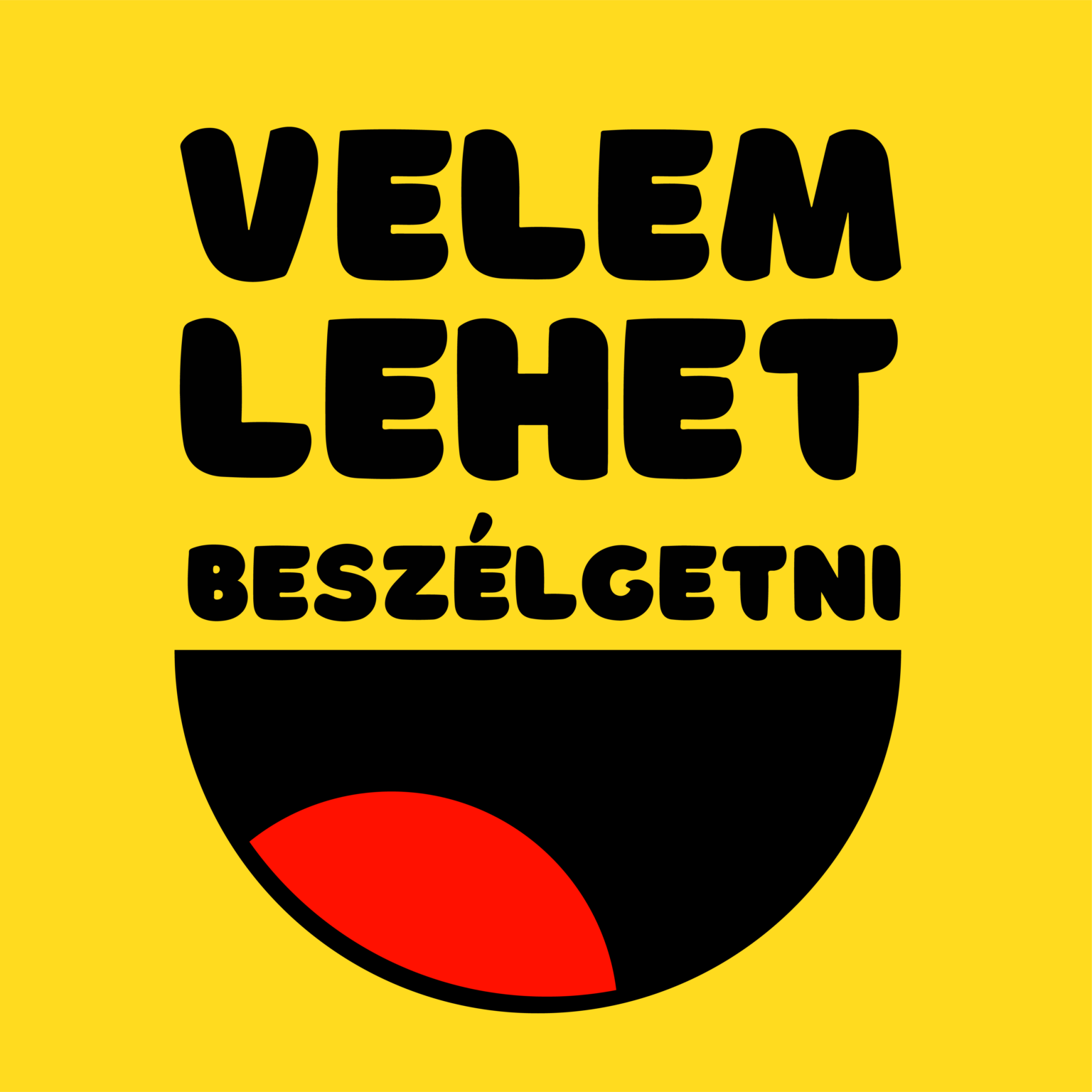 VLB logó